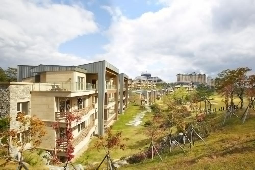 Delpino Hotel Sokcho Exterior photo